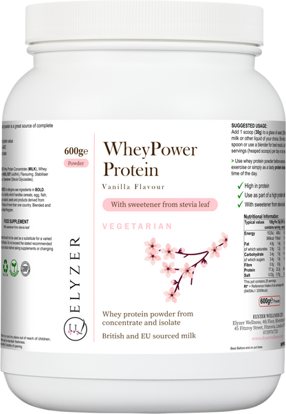 WheyPower Protein Chocolate