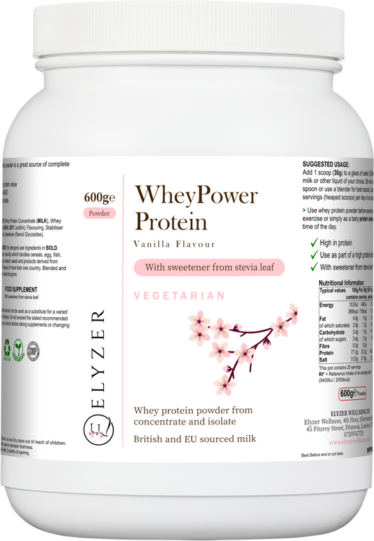 WheyPower Protein Chocolate